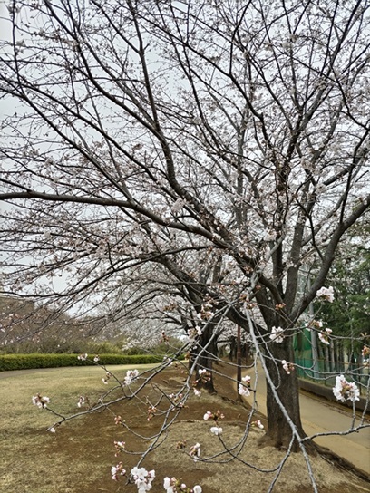 Dsc 0174